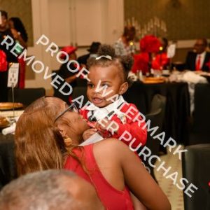 2026 - Photo 127