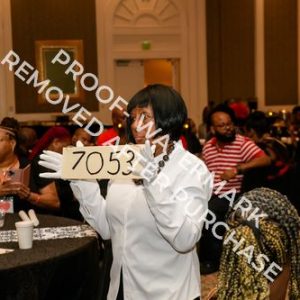 2026 - Photo 161