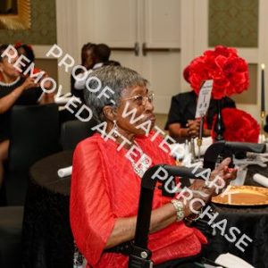 2026 - Photo 164