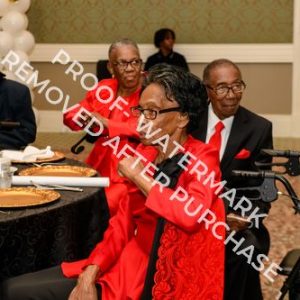 2026 - Photo 165