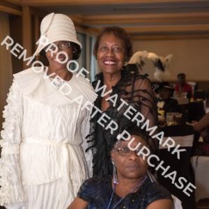 2017 - Photo 5