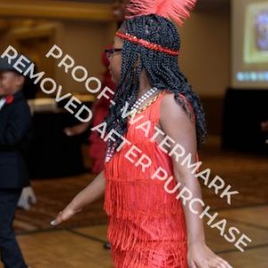 2017 - Photo 54